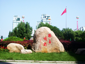 上海市楊思高級(jí)中學(xué)
