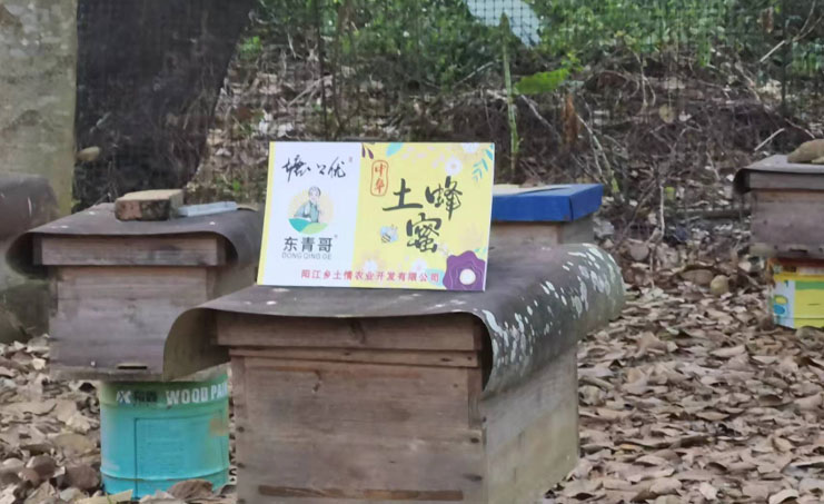 深入鄉(xiāng)村探蜜源，采訪(fǎng)調(diào)研促營(yíng)銷(xiāo)
