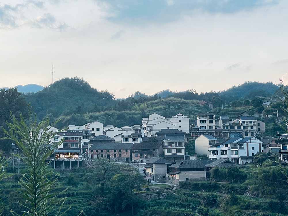 暑期社會(huì)實(shí)踐·大學(xué)生助力鄉(xiāng)村米酒，把酒賣到“云上”去