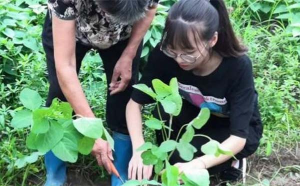 傳承基于文化，實踐探索未來——麗水學院實踐隊挖掘“創(chuàng)