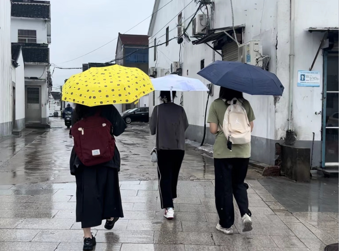 南財學子三下鄉(xiāng)：青衿之志篤行遠，智匯土地賦新能