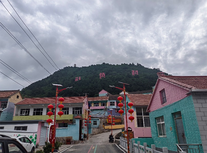 七彩村莊煥發(fā)新生機(jī)，連翹產(chǎn)業(yè)助力鄉(xiāng)村振興