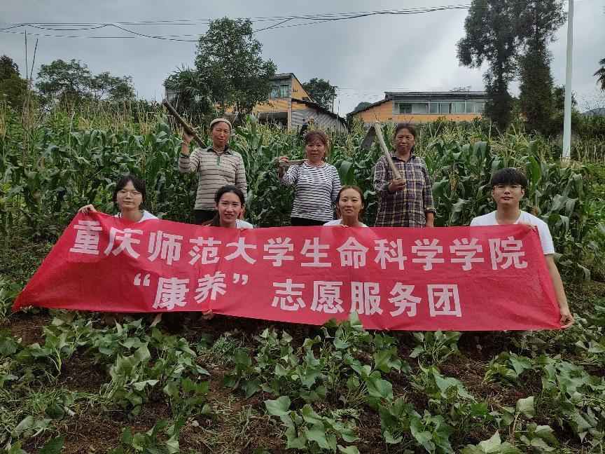 深入鄉(xiāng)村勞動(dòng)實(shí)踐，感受農(nóng)業(yè)勞動(dòng)魅力