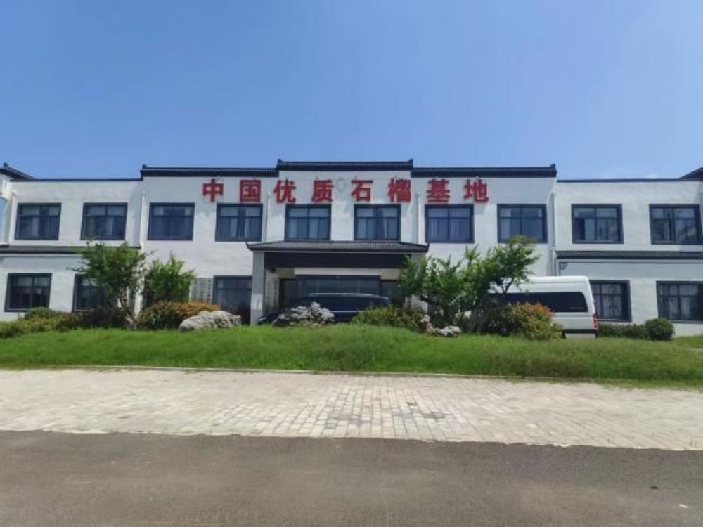 安理學(xué)子赴懷遠(yuǎn)石榴園，奏響“鄉(xiāng)村振興”進(jìn)行曲
