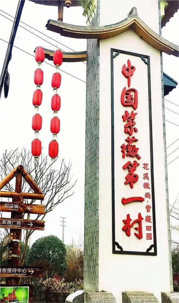 “新路”、“興路”、“心路”——以陳家渡村為例探討