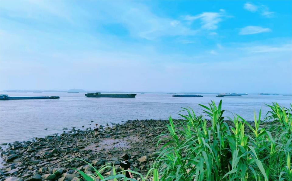 探廣陵運河， 護綠水之美