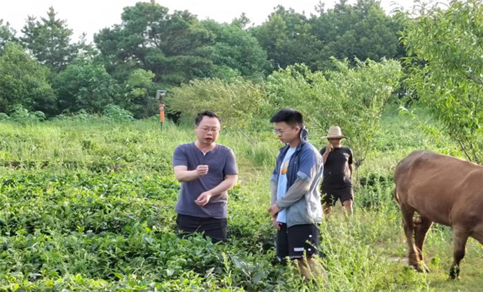 筆耕鄉(xiāng)土察民情，躬身入局謀振興