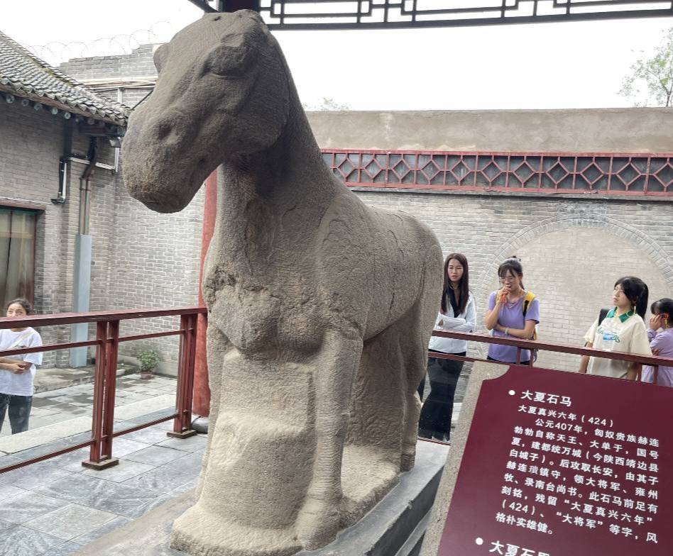 西農學子三下鄉(xiāng)|尋脈中華傳統(tǒng)，助力文化傳承
