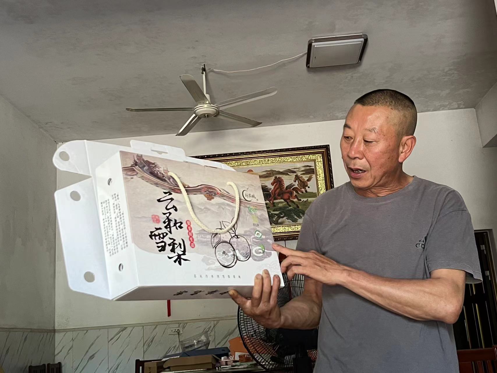 致富之梨——浙江經(jīng)濟職業(yè)技術學院摯馥芝麗團隊暑期實踐活動照片