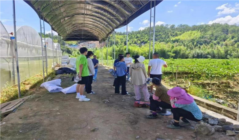情系百香果，共筑夢想園