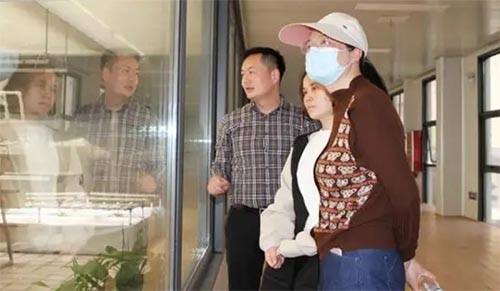 探秘“豆”文化——鄭州市金水區(qū)四月天小學(xué)社會實(shí)踐活動