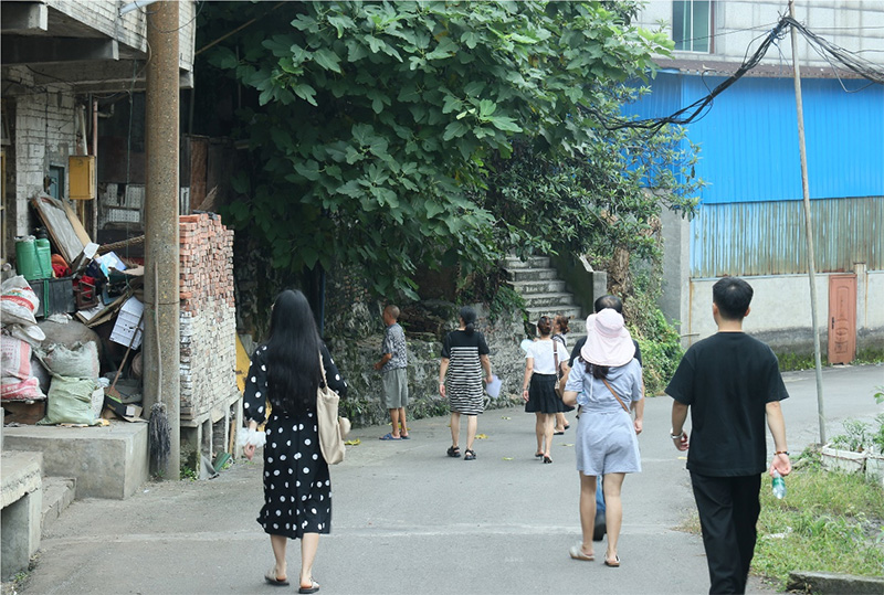 杉木樹(shù)下話振興，德田村頭繪新景——西財(cái)學(xué)子三下鄉(xiāng)調(diào)研紀(jì)實(shí)