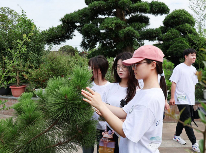 聚焦成都世園會溫江分會場，賦能非遺盆景產(chǎn)業(yè)發(fā)展