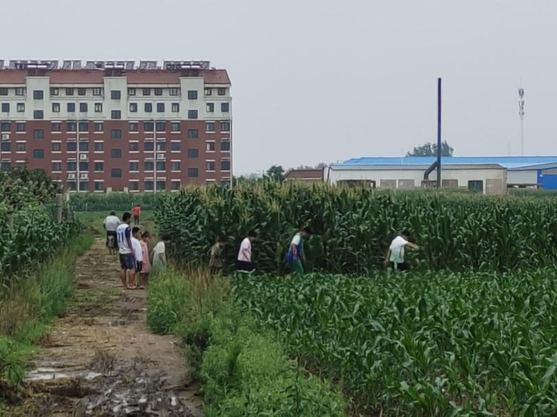曲園學子三下鄉(xiāng)：深入基層社區(qū)，調研社區(qū)消防