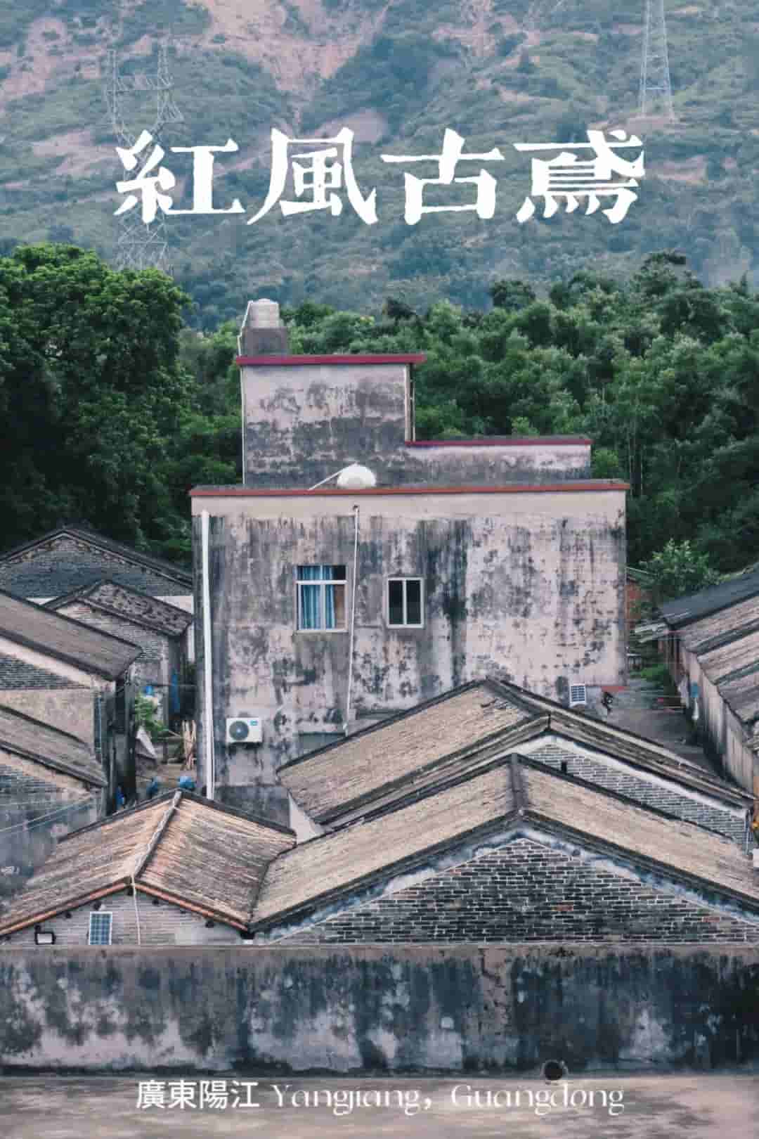 佛科院學(xué)子三下鄉(xiāng)：“紅風(fēng)古鳶”實踐隊走訪鄉(xiāng)村衛(wèi)生院，深入了解村民健康情況