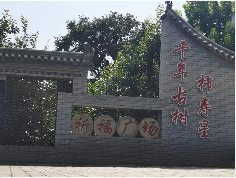 長(zhǎng)安大學(xué)赴陜西渭南“鄉(xiāng)村振興·服務(wù)三農(nóng)”暑期社會(huì)實(shí)踐隊(duì)前往富平柿餅種植園實(shí)地學(xué)習(xí)