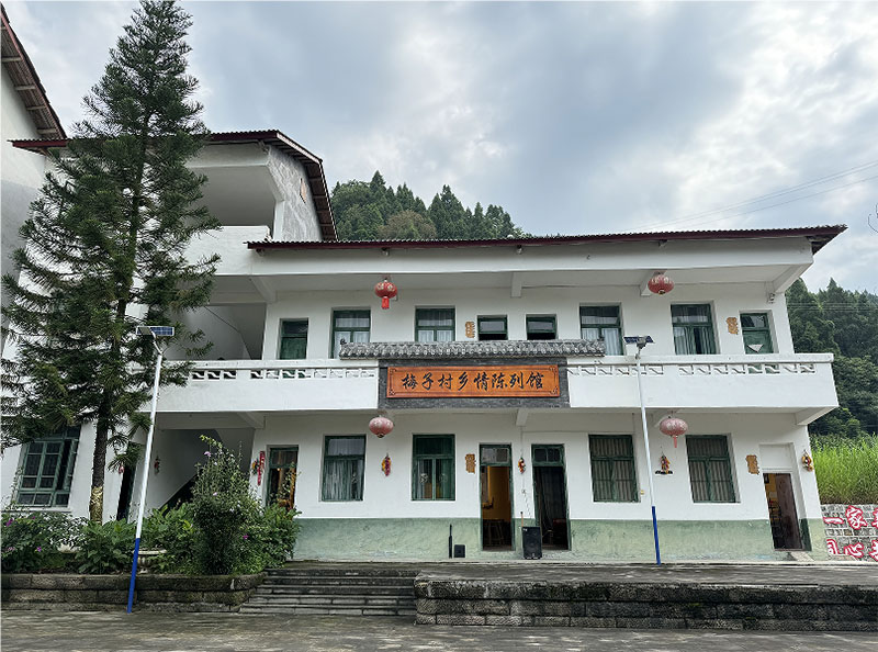苗鄉(xiāng)古韻潤心田，紅色黨建譜華章——重慶師范大學(xué)文學(xué)院“弘文·苗韻”社會(huì)實(shí)踐紀(jì)實(shí)