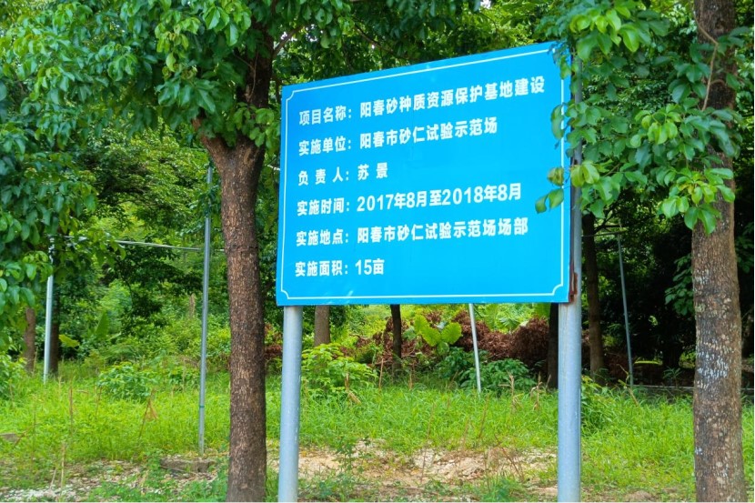 廣州新華學(xué)院三下鄉(xiāng)：砂仁藍圖繪到底 擼起袖子加油干