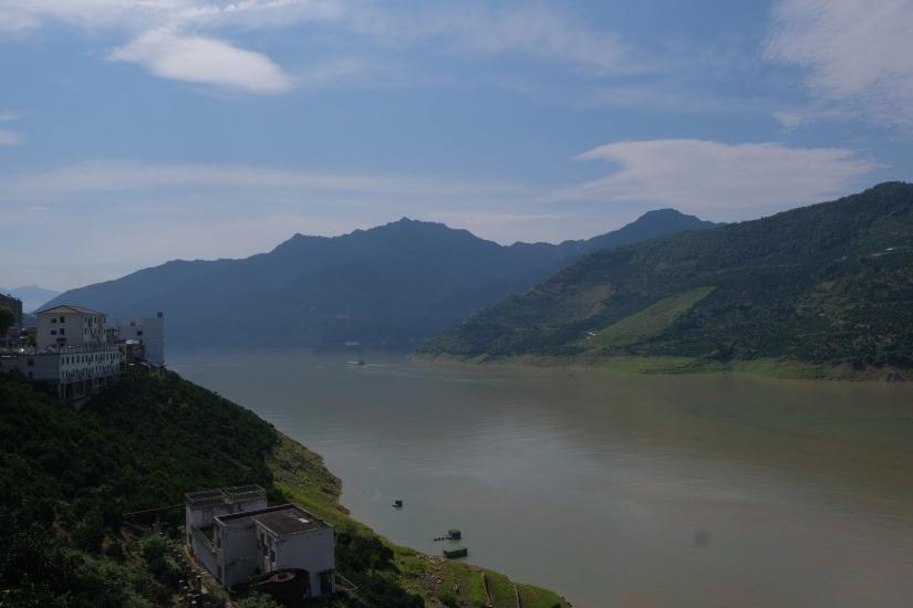 山坡上長(zhǎng)出“搖錢樹”