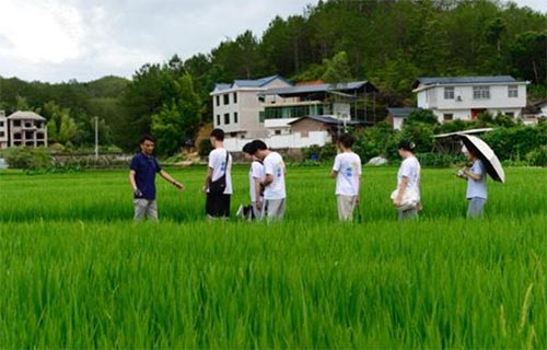 集美大學(xué)“傾潭振汀”實(shí)踐隊(duì)赴長(zhǎng)汀紅色舊址群參觀學(xué)習(xí)、南坑村實(shí)地調(diào)研