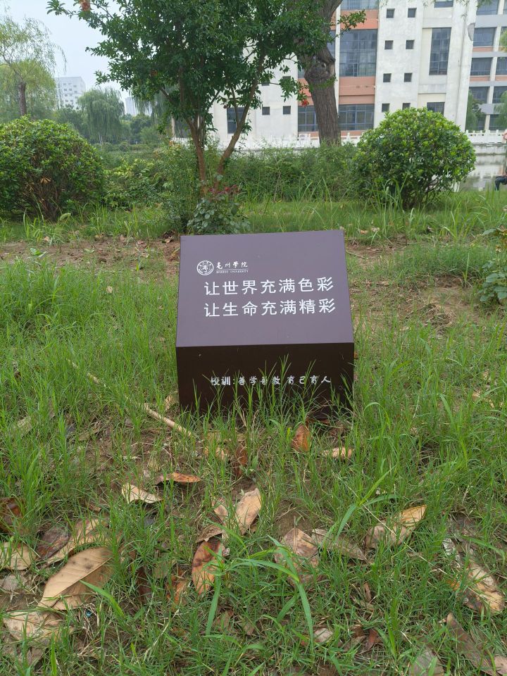 巢湖學(xué)院學(xué)子三下鄉(xiāng)實(shí)踐感悟：走不通的路，就用拳頭來(lái)打開