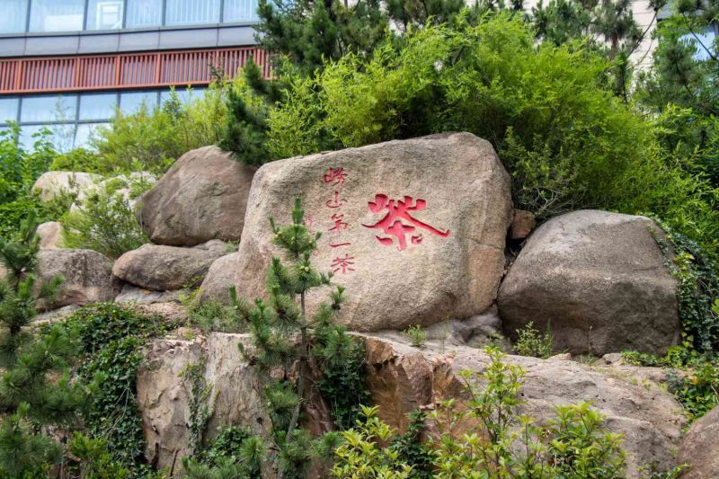 從低碳視角出發(fā)，探討鄉(xiāng)村綠色轉型之路-致遠實踐隊心得體會