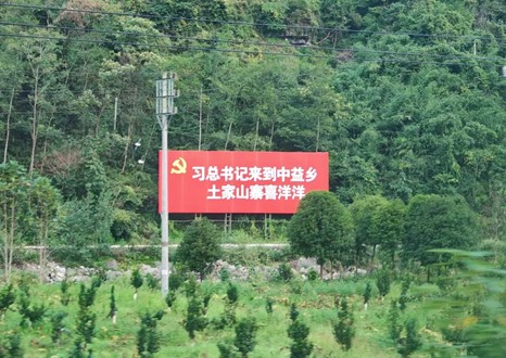 【我們的暑期實(shí)踐】重走主席視察路，共繪鄉(xiāng)村振興新篇章