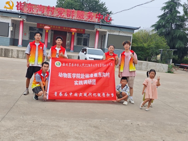 西北農(nóng)林科技大學(xué)“鄉(xiāng)村振興教育先”實(shí)踐隊(duì)赴楊凌崔東溝村