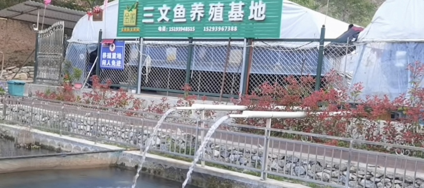 塑造甘南“特色品牌”，擴(kuò)寬群眾增收大道。